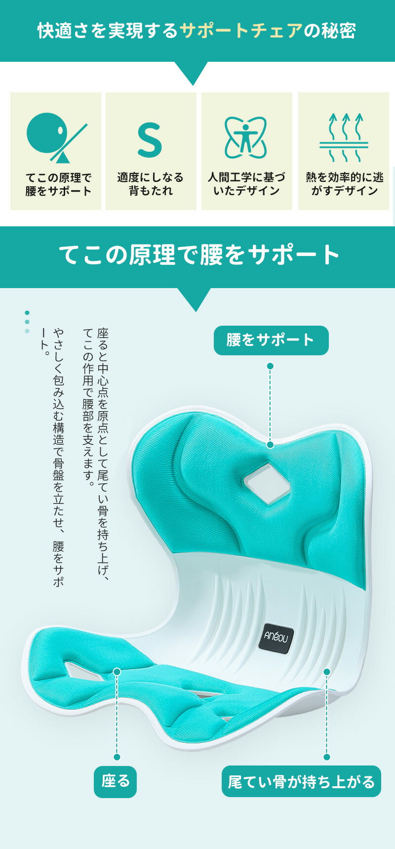 カーブルチェア 骨盤サポートチェア ワイド 姿勢矯正 大人用 子供用 骨盤矯正 骨盤サポート 姿勢が良くなる サポート 矯正 椅子 イス 座椅子 チェア 腰 腰seat-004