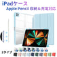 iPad ケース iPad Air ケース iPad Pro 11インチ ケース iPad 第11世代 A16 第10世代 第9世代 第8世代 第7世代 Air 13インチ Air 11インチ Air M4 M3 M2 Air5 Air4 Pro 11インチ M5 M4 カバー 保護ケース 縦置き 横置き オートスリープ 収納 充電 ペン収納 透明背面