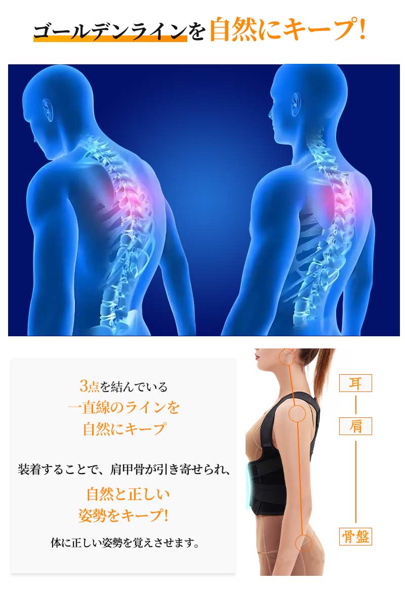 サポーター 背筋 姿勢サポーター 猫背 姿勢ベルト 美姿勢 背筋ベルト 巻き肩 男性 子供 姿勢矯正ベルト 猫背矯正ベルト ねこ背 矯正 背筋矯正ベルト 猫背サbesuto-1003