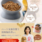 フードボウル 食べやすい 傾斜 高さがある おしゃれ 陶器 猫 犬 食器 餌入れ ペット 猫用食器 猫の食器 吐き戻し ご飯皿 猫皿 餌皿 ご飯台 餌台 食器台 フードボール フードスタンド オシャレ かわいい 斜め エサ入れ 水 セラミック 小型犬 犬用食器