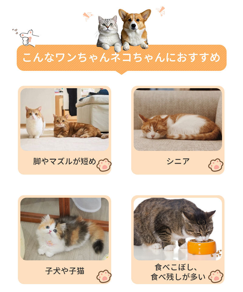 フードボウル 食べやすい 傾斜 高さがある おしゃれ 陶器 猫 犬 食器 餌入れ ペット 猫用食器 猫の食器 吐き戻し ご飯皿 猫皿 餌皿 ご飯台 餌台 食器台 フードボール フードスタンド オシャレ かわいい 斜め エサ入れ 水 セラミック 小型犬 犬用食器