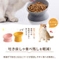 フードボウル 食べやすい 傾斜 高さがある おしゃれ 陶器 猫 犬 食器 餌入れ ペット 猫用食器 猫の食器 吐き戻し ご飯皿 猫皿 餌皿 ご飯台 餌台 食器台 フードボール フードスタンド オシャレ かわいい 斜め エサ入れ 水 セラミック 小型犬 犬用食器
