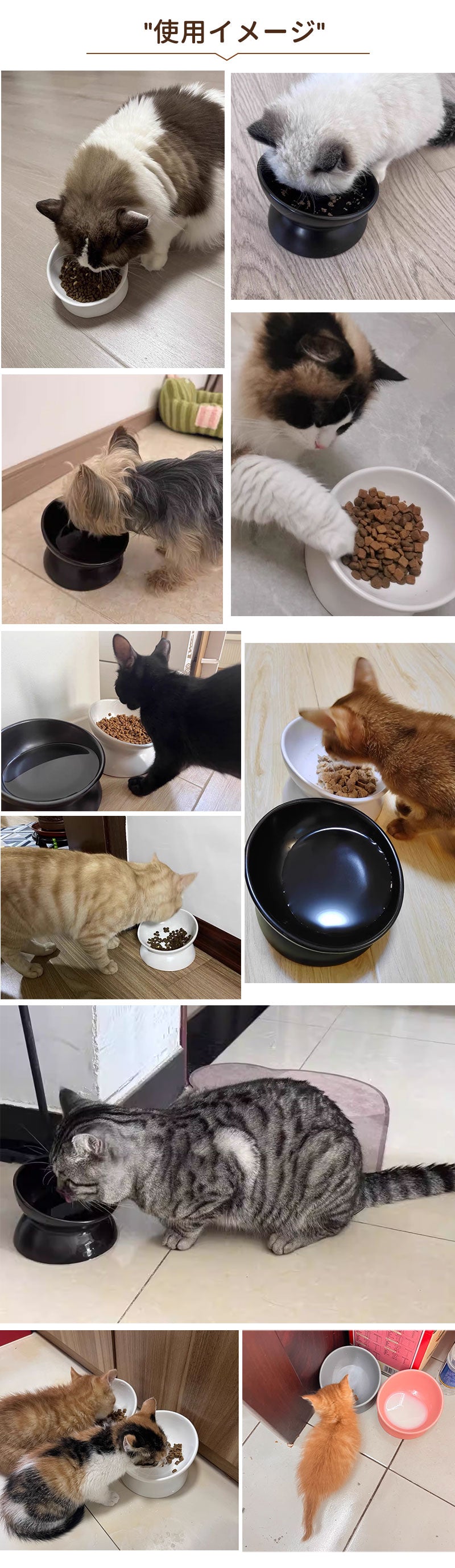 フードボウル 食べやすい 傾斜 高さがある おしゃれ 陶器 猫 犬 食器 餌入れ ペット 猫用食器 猫の食器 吐き戻し ご飯皿 猫皿 餌皿 ご飯台 餌台 食器台 フードボール フードスタンド オシャレ かわいい 斜め エサ入れ 水 セラミック 小型犬 犬用食器