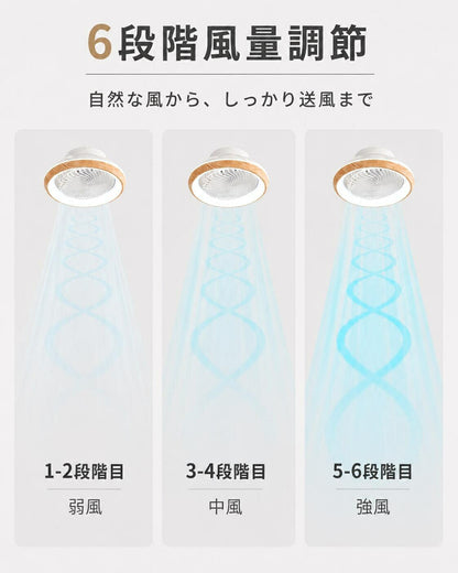 シーリングファンライト LED シーリングファン 正逆回転 DCモーター 自動スイング シーリングライト 扇風機付き 天井ライト 照明器具 8畳 10畳 12畳 調光調色 6段階 風量調節 リモコン付き アプリ対応 タイマー機能 空気循環 静音 省エネ 節電 薄型 おしゃれ