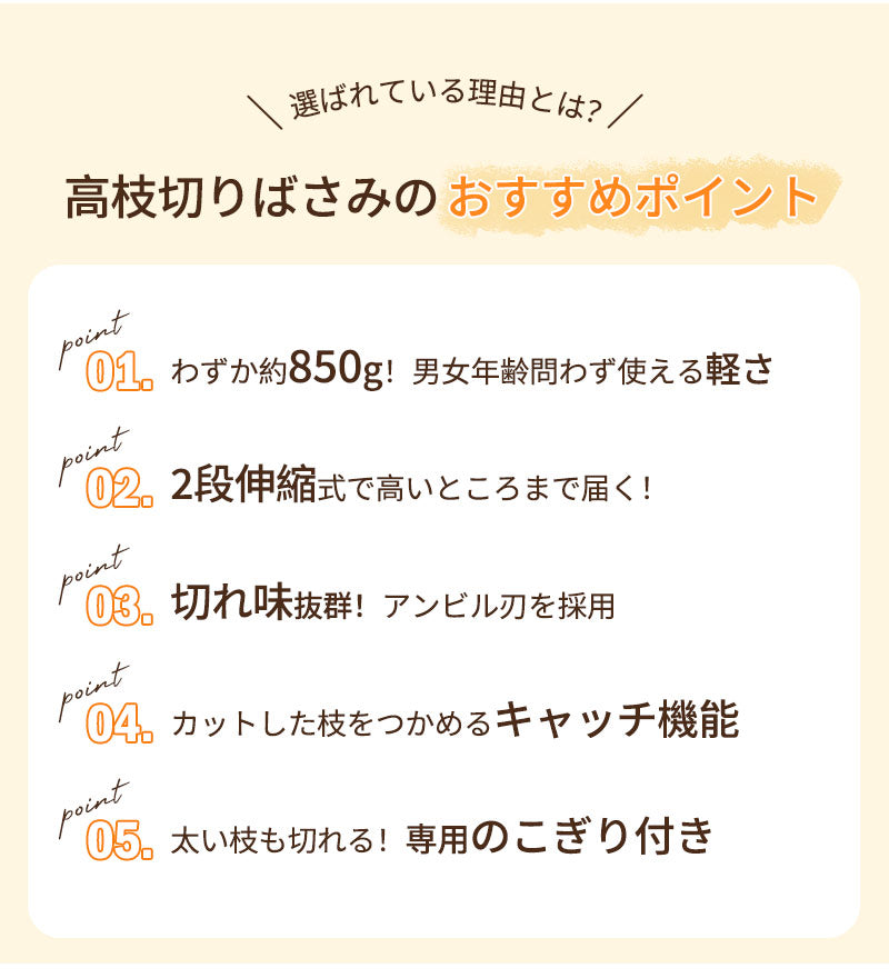 高枝切りバサミ 2段伸縮式 伸縮 2m 3m 4m 軽量 たかえだきりはさみ SK5高級炭素刃 高枝切り鋏 鋸付き 高枝切り鋏 高枝切りノコギリ はさみ ガーデニング用品 果樹園、公園、農場、庭園などに適応 園芸用具 果物取り