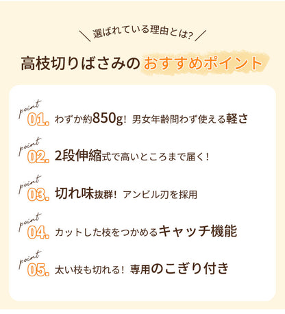 高枝切りバサミ 2段伸縮式 伸縮 2m 3m 4m 軽量 たかえだきりはさみ SK5高級炭素刃 高枝切り鋏 鋸付き 高枝切り鋏 高枝切りノコギリ はさみ ガーデニング用品 果樹園、公園、農場、庭園などに適応 園芸用具 果物取り