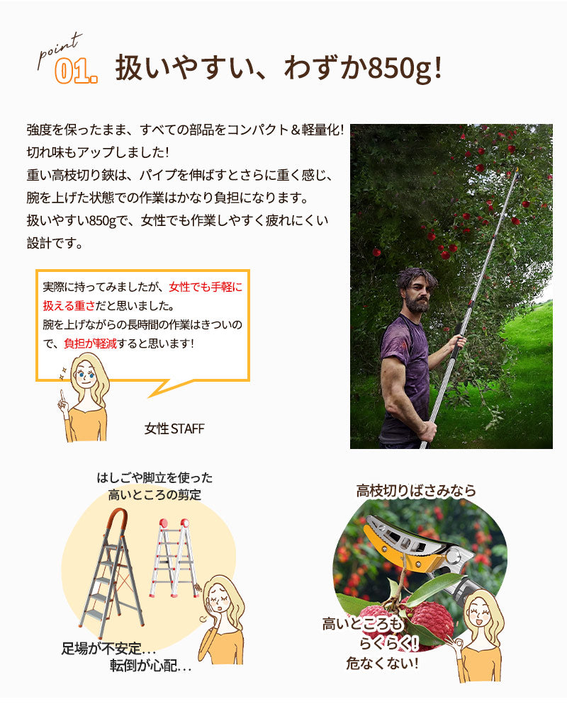 高枝切りバサミ 2段伸縮式 伸縮 2m 3m 4m 軽量 たかえだきりはさみ SK5高級炭素刃 高枝切り鋏 鋸付き 高枝切り鋏 高枝切りノコギリ はさみ ガーデニング用品 果樹園、公園、農場、庭園などに適応 園芸用具 果物取り