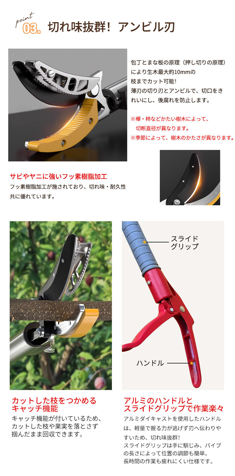 高枝切りバサミ 2段伸縮式 伸縮 2m 3m 4m 軽量 たかえだきりはさみ SK5高級炭素刃 高枝切り鋏 鋸付き 高枝切り鋏 高枝切りノコギリ はさみ ガーデニング用品 果樹園、公園、農場、庭園などに適応 園芸用具 果物取り