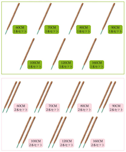 観葉植物 支柱 園芸支柱 曲げられる ココスティック モンステラ支柱 モンステラ 園芸用 植物 ココナッツ支柱 つる性植物 植物サポート ヘゴ支柱 ココナッツ 園芸支柱パーツ フラワースタンド  2本入り ポトス モスポール
