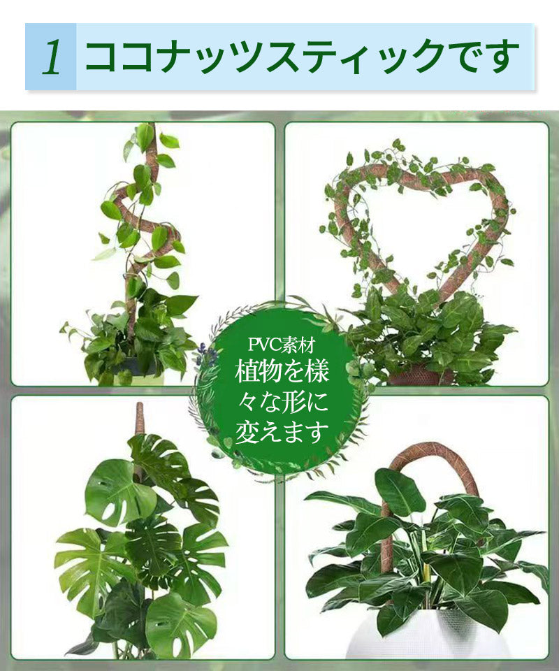 観葉植物 支柱 園芸支柱 曲げられる ココスティック モンステラ支柱 モンステラ 園芸用 植物 ココナッツ支柱 つる性植物 植物サポート ヘゴ支柱 ココナッツ 園芸支柱パーツ フラワースタンド  2本入り ポトス モスポール