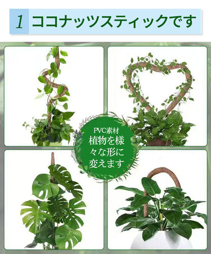 観葉植物 支柱 園芸支柱 曲げられる ココスティック モンステラ支柱 モンステラ 園芸用 植物 ココナッツ支柱 つる性植物 植物サポート ヘゴ支柱 ココナッツ 園芸支柱パーツ フラワースタンド  2本入り ポトス モスポール