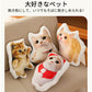 クッション ペット グッズ 写真 オリジナル 記念 両面 プリント メモリアルグッズ オリジナルクッション 動物 猫 犬 makura-002