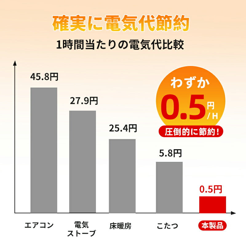 電気毛布 掛け着る両用 日本製ヒーター 洗える USB給電 即暖 保温 5WAY ３階段調温 ブランケット ひざ掛け ヒーター 着る毛布 着る電気毛布 110x132cm  あったか 丸洗い可 柔らか 大きめ 電気毛布 電気ひざ掛け オフィス 電気ひざかけ