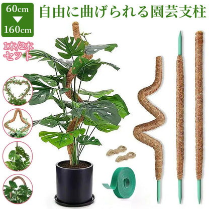 観葉植物 支柱 園芸支柱 曲げられる ココスティック モンステラ支柱 モンステラ 園芸用 植物 ココナッツ支柱 つる性植物 植物サポート ヘゴ支柱 ココナッツ モスポール 園芸支柱パーツ 2本入り ポトス フラワースタンド