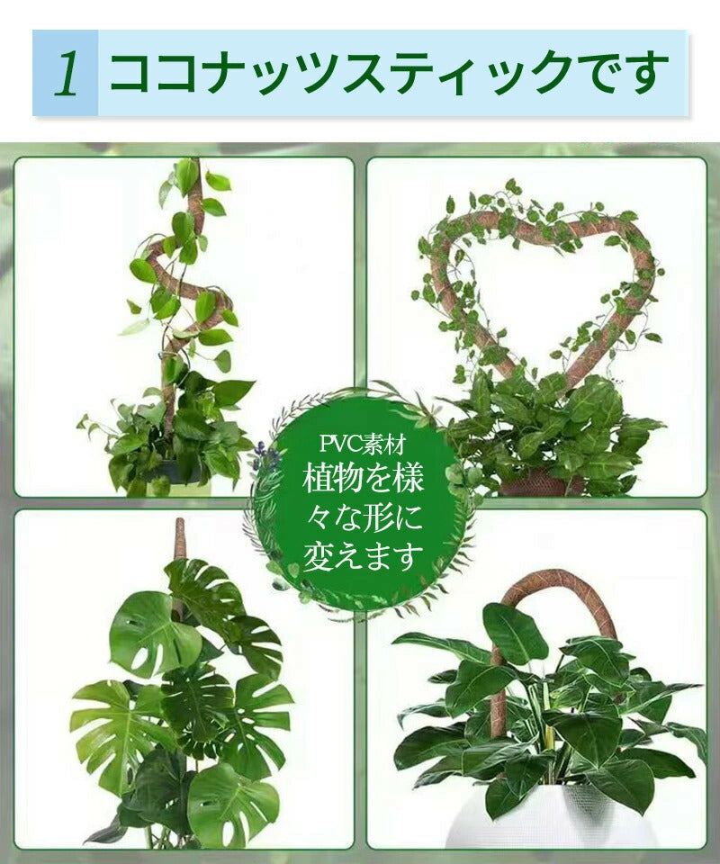 観葉植物 支柱 園芸支柱 曲げられる ココスティック モンステラ支柱 モンステラ 園芸用 植物 ココナッツ支柱 つる性植物 植物サポート ヘゴ支柱 ココナッツ モスポール 園芸支柱パーツ 2本入り ポトス フラワースタンド