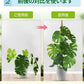 観葉植物 支柱 園芸支柱 曲げられる ココスティック モンステラ支柱 モンステラ 園芸用 植物 ココナッツ支柱 つる性植物 植物サポート ヘゴ支柱 ココナッツ モスポール 園芸支柱パーツ 2本入り ポトス フラワースタンド