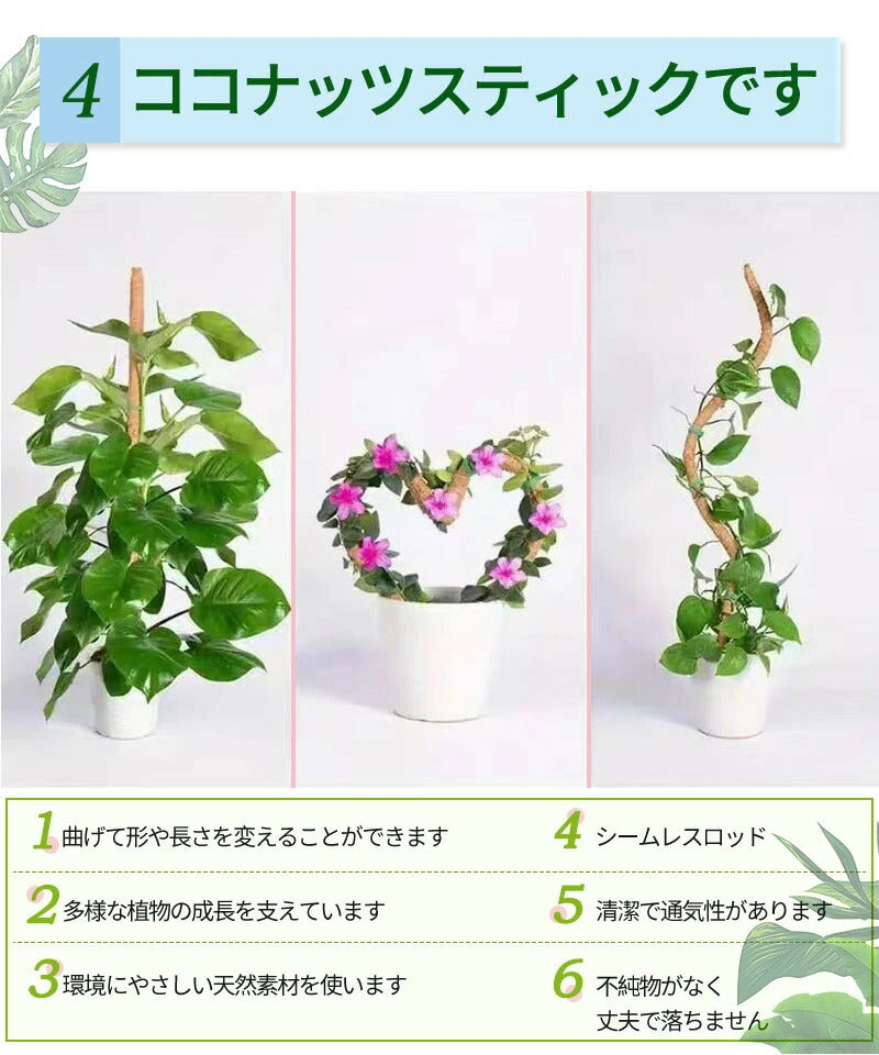 観葉植物 支柱 園芸支柱 曲げられる ココスティック モンステラ支柱 モンステラ 園芸用 植物 ココナッツ支柱 つる性植物 植物サポート ヘゴ支柱 ココナッツ モスポール 園芸支柱パーツ 2本入り ポトス フラワースタンド
