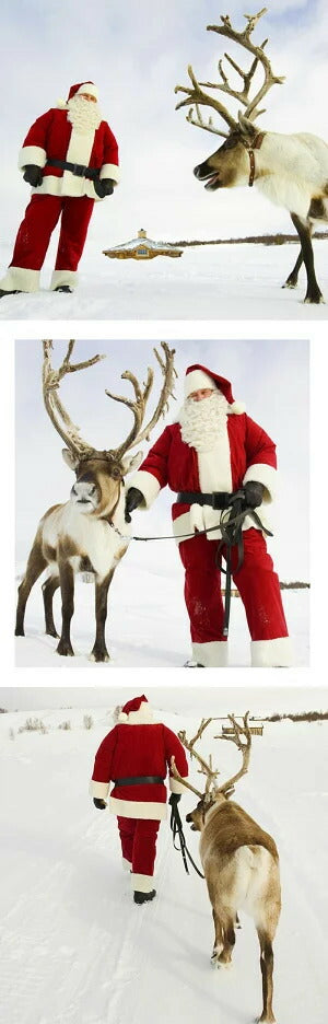 サンタ コスプレ サンタクロース クリスマス コスチューム 男性用 サンタコス 髭 ヒゲ ひげ カツラ 大人用 メンズ サンタ帽子 コスプレ衣装 仮装 本格的 クリスマス衣装 大きいサイズ 大人 イベント パーティー 袋