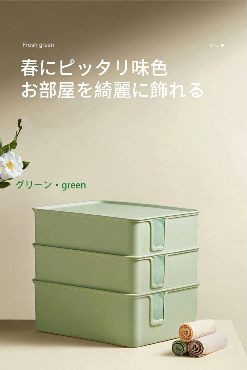 下着収納ボックス 仕切り 下着仕切りボックス 蓋付き 10マス ホワイト 蓋付下着収納ボックス 引出し収納 整頓ボックス 大容量 引き出し仕切り 靴下 パンツ ブラジャー ネクタイ 織物 スカーフ 収納便利 小物収納 ケースボックス寝室