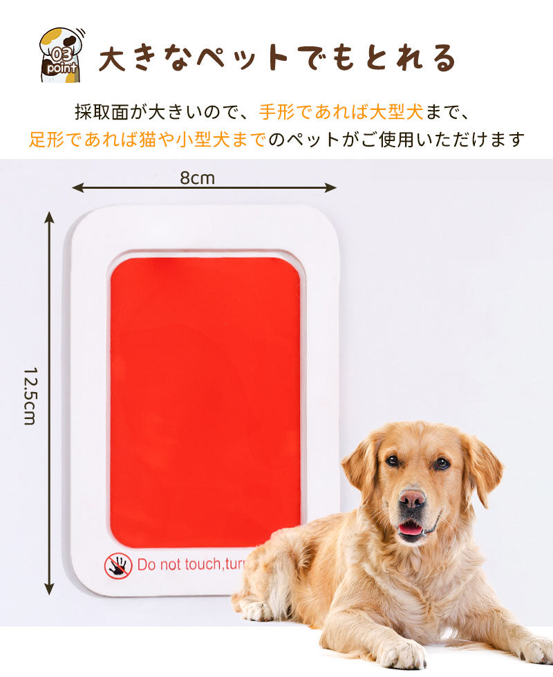 【フォトフレーム1個と台紙2枚】肉球 手形 犬 型取り 足型 猫 オリジナル スタンプ 肉球スタンプ記念 足形 足跡 肉球スタンプ 足あと 手形足形スタンプ 汚pet-002