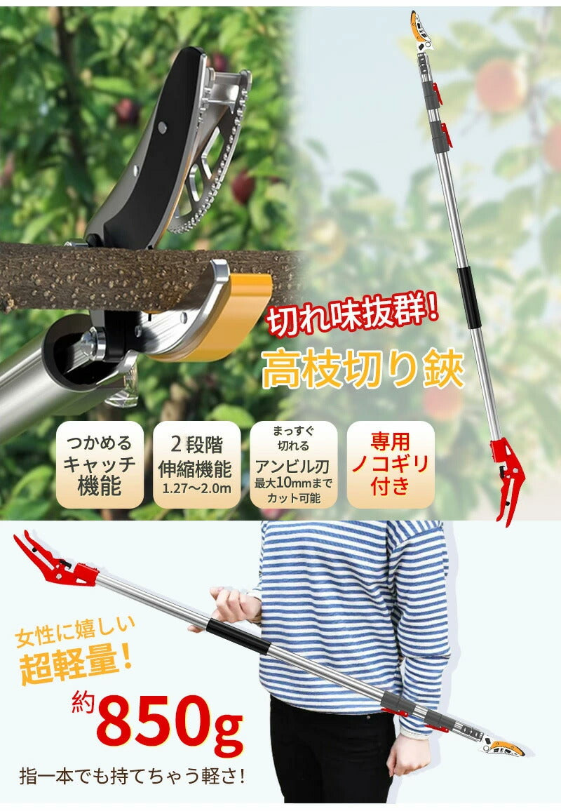 高枝切りバサミ 2段伸縮式 伸縮 2m 3m 4m 軽量 たかえだきりはさみ SK5高級炭素刃 高枝切り鋏 鋸付き 高枝切り鋏 高枝切りノコギリ はさみ ガーデニング用品 果樹園、公園、農場、庭園などに適応 園芸用具 果物取り