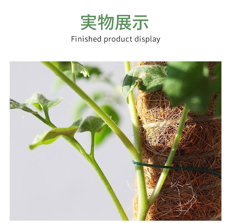 植物支柱 モンステラ 支柱 鉢植え 園芸 園芸支柱 観葉支柱 ココスティック植物 つる性植物 蔓 農具 高さ調整可能 植物サポート ポトス 花ささえ 連結 延長 mount-004