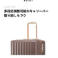 スーツケース 機内持ち込み キャリーケース キャリーバッグ レディース かわいい Sサイズ Mサイズ トランク 泊まる 超軽 TSAロック搭載 大容量 2way suitcase-004