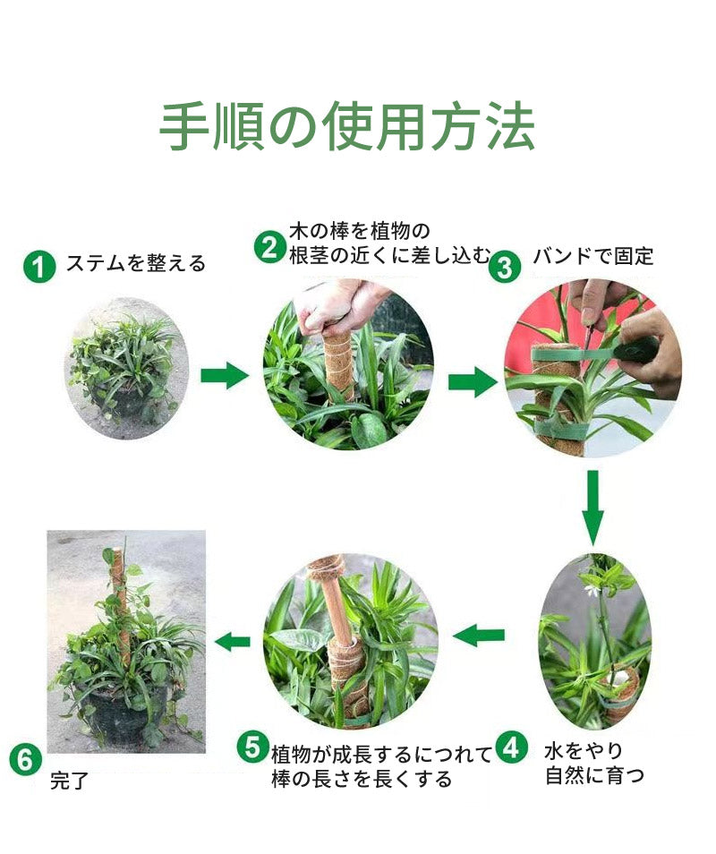 植物支柱 モンステラ 支柱 鉢植え 園芸 園芸支柱 観葉支柱 ココスティック植物 つる性植物 蔓 農具 高さ調整可能 植物サポート ポトス 花ささえ 連結 延長 mount-004