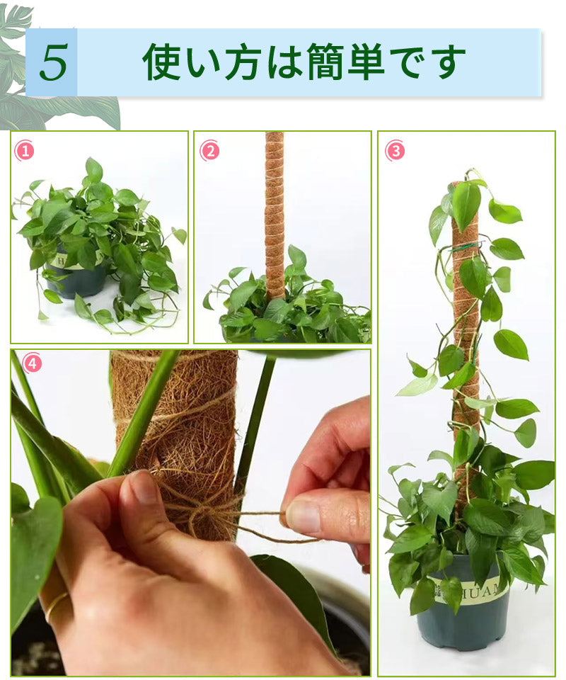 観葉植物 支柱 園芸支柱 曲げられる ココスティック モンステラ支柱 モンステラ 園芸用 植物 ココナッツ支柱 つる性植物 植物サポート ヘゴ支柱 ココナッツ  mount-005