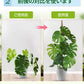 観葉植物 支柱 園芸支柱 曲げられる ココスティック モンステラ支柱 モンステラ 園芸用 植物 ココナッツ支柱 つる性植物 植物サポート ヘゴ支柱 ココナッツ  mount-005
