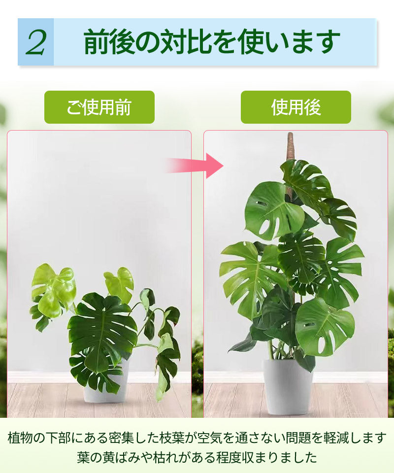 観葉植物 支柱 園芸支柱 曲げられる ココスティック モンステラ支柱 モンステラ 園芸用 植物 ココナッツ支柱 つる性植物 植物サポート ヘゴ支柱 ココナッツ  mount-005