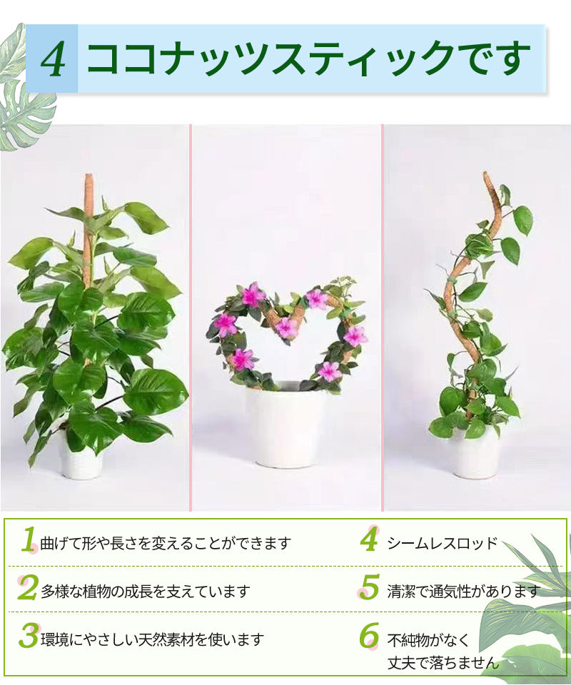 観葉植物 支柱 園芸支柱 曲げられる ココスティック モンステラ支柱 モンステラ 園芸用 植物 ココナッツ支柱 つる性植物 植物サポート ヘゴ支柱 ココナッツ  mount-005