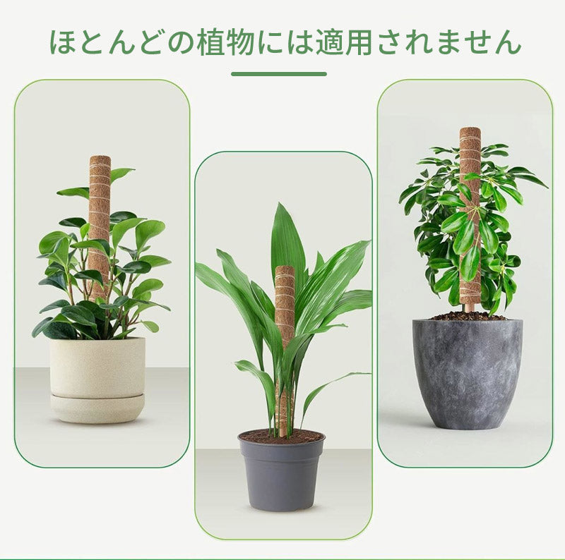 植物支柱 モンステラ 支柱 鉢植え 園芸 園芸支柱 観葉支柱 ココスティック植物 つる性植物 蔓 農具 高さ調整可能 植物サポート ポトス 花ささえ 連結 延長 mount-004