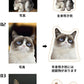 ペット オーダーメイドクッション オリジナルクッション ペット 動物 猫 犬 記念品 抱き枕 両面写真オリジナルクッション ペット メモリアルクッション 供養母 makura-002