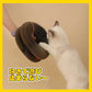 【鈴ボール付き】猫 爪とぎ 爪研ぎ 一人遊び オルガン ネコ おもちゃ ねこ おもちゃ  多頭飼い 猫じゃらし 猫ハウス 猫のおもちゃ  タワー 遊べる ねこじnekotoy-02