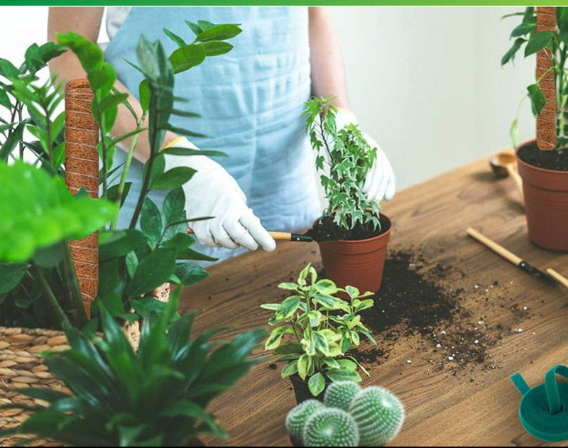 植物支柱 モンステラ 支柱 鉢植え 園芸 園芸支柱 観葉支柱 ココスティック植物 つる性植物 蔓 農具 高さ調整可能 植物サポート ポトス 花ささえ 連結 延長 mount-004