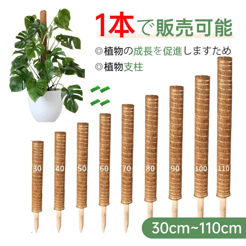 植物支柱 モンステラ 支柱 鉢植え 園芸 園芸支柱 観葉支柱 ココスティック植物 つる性植物 蔓 農具 高さ調整可能 植物サポート ポトス 花ささえ 連結 延長 mount-004
