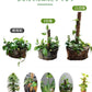 植物支柱 モンステラ 支柱 鉢植え 園芸 園芸支柱 観葉支柱 ココスティック植物 つる性植物 蔓 農具 高さ調整可能 植物サポート ポトス 花ささえ 連結 延長 mount-004