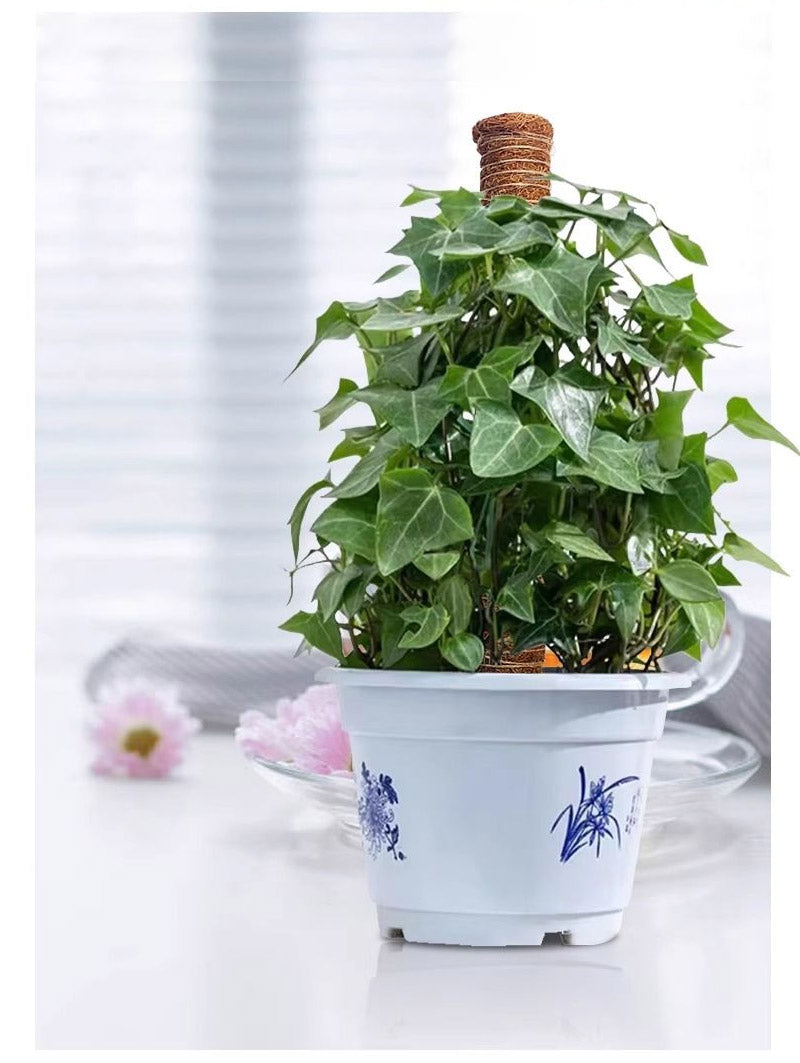 植物支柱 モンステラ 支柱 鉢植え 園芸 園芸支柱 観葉支柱 ココスティック植物 つる性植物 蔓 農具 高さ調整可能 植物サポート ポトス 花ささえ 連結 延長 mount-004