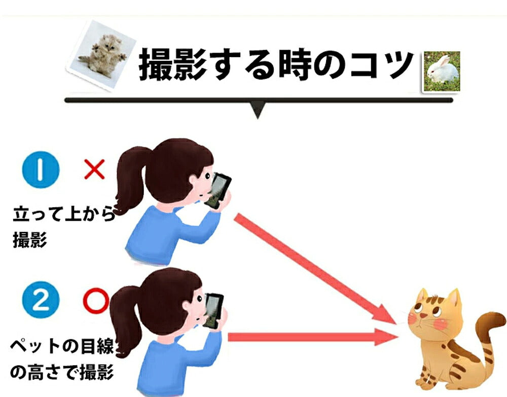 オーダーメイド ペット抱き枕 クッション ペット メモリアルグッズ 写真 オリジナル 記念 両面 プリント 動物 猫 犬 メモリアルクッション オーダーメイドクッション 供養 母の日 ギフト オーダー 記念 仏具 ペットロス 愛犬 悔やみ