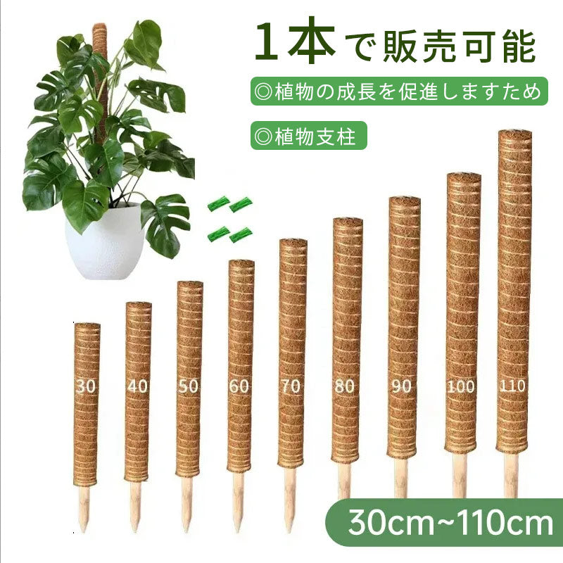 植物支柱 モンステラ 支柱 鉢植え 園芸 園芸支柱 観葉支柱 ココスティック植物 つる性植物 蔓 農具 高さ調整可能 植物サポート ポトス 花ささえ 連結 延長 木製 ガーデニング ガーデニング用支柱 フラワースタンド 頑丈 耐久