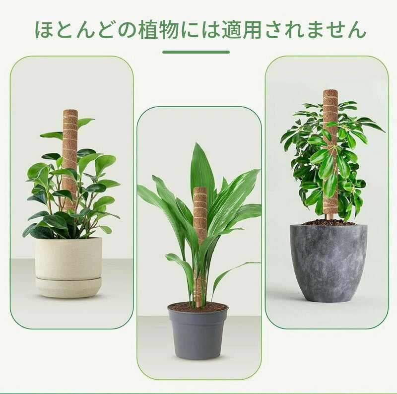 植物支柱 モンステラ 支柱 鉢植え 園芸 園芸支柱 観葉支柱 ココスティック植物 つる性植物 蔓 農具 高さ調整可能 植物サポート ポトス 花ささえ 連結 延長 木製 ガーデニング ガーデニング用支柱 フラワースタンド 頑丈 耐久