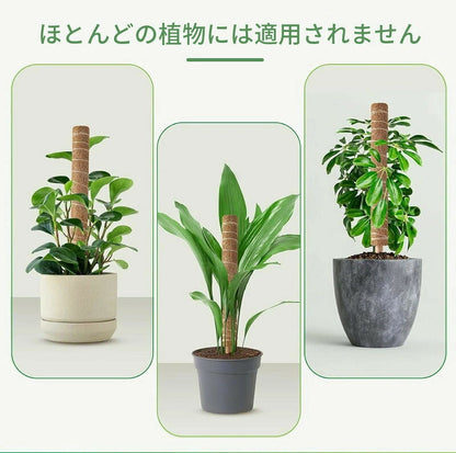 植物支柱 モンステラ 支柱 鉢植え 園芸 園芸支柱 観葉支柱 ココスティック植物 つる性植物 蔓 農具 高さ調整可能 植物サポート ポトス 花ささえ 連結 延長 木製 ガーデニング ガーデニング用支柱 フラワースタンド 頑丈 耐久
