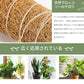 植物支柱 モンステラ 支柱 鉢植え 園芸 園芸支柱 観葉支柱 ココスティック植物 つる性植物 蔓 農具 高さ調整可能 植物サポート ポトス 花ささえ 連結 延長 木製 ガーデニング ガーデニング用支柱 フラワースタンド 頑丈 耐久