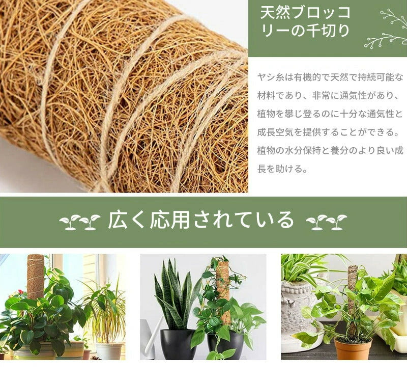 植物支柱 モンステラ 支柱 鉢植え 園芸 園芸支柱 観葉支柱 ココスティック植物 つる性植物 蔓 農具 高さ調整可能 植物サポート ポトス 花ささえ 連結 延長 木製 ガーデニング ガーデニング用支柱 フラワースタンド 頑丈 耐久
