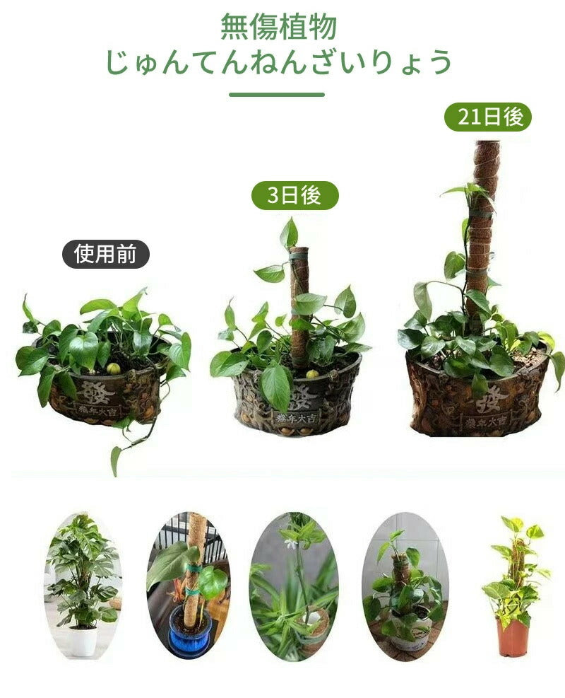 植物支柱 モンステラ 支柱 鉢植え 園芸 園芸支柱 観葉支柱 ココスティック植物 つる性植物 蔓 農具 高さ調整可能 植物サポート ポトス 花ささえ 連結 延長 木製 ガーデニング ガーデニング用支柱 フラワースタンド 頑丈 耐久