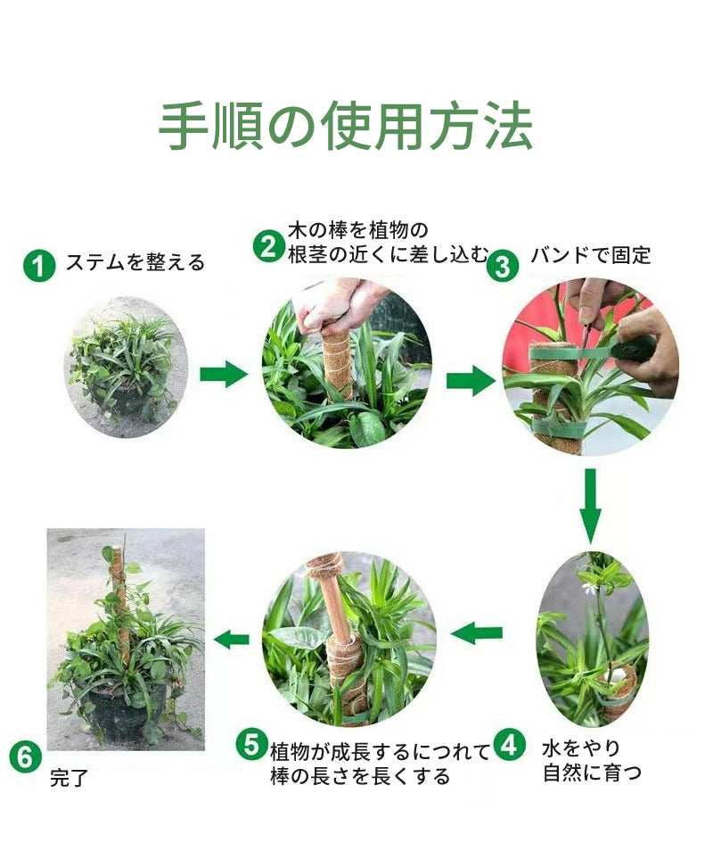植物支柱 モンステラ 支柱 鉢植え 園芸 園芸支柱 観葉支柱 ココスティック植物 つる性植物 蔓 農具 高さ調整可能 植物サポート ポトス 花ささえ 連結 延長 木製 ガーデニング ガーデニング用支柱 フラワースタンド 頑丈 耐久