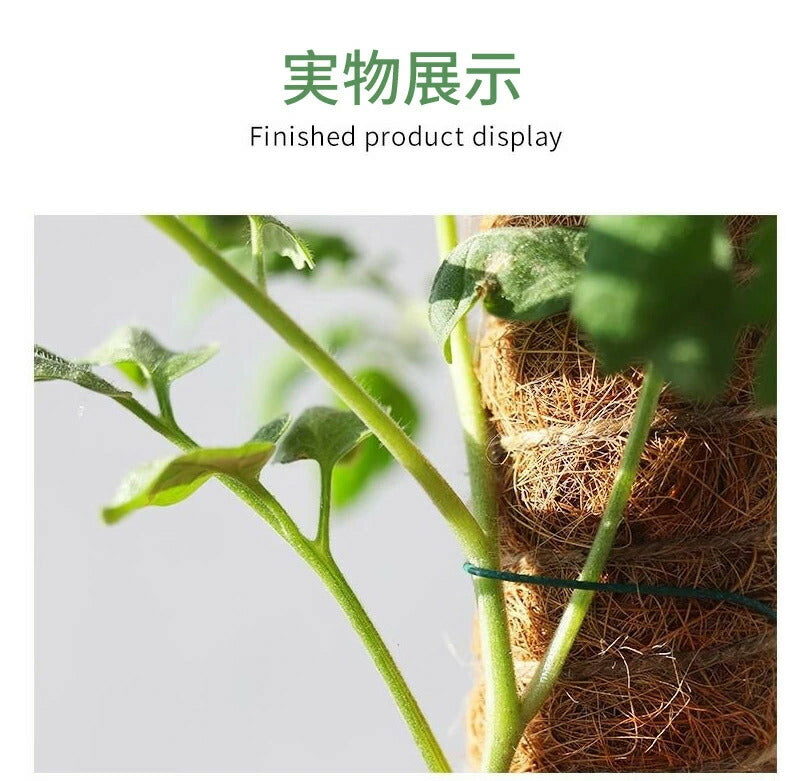 植物支柱 モンステラ 支柱 鉢植え 園芸 園芸支柱 観葉支柱 ココスティック植物 つる性植物 蔓 農具 高さ調整可能 植物サポート ポトス 花ささえ 連結 延長 木製 ガーデニング ガーデニング用支柱 フラワースタンド 頑丈 耐久