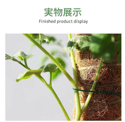 植物支柱 モンステラ 支柱 鉢植え 園芸 園芸支柱 観葉支柱 ココスティック植物 つる性植物 蔓 農具 高さ調整可能 植物サポート ポトス 花ささえ 連結 延長 木製 ガーデニング ガーデニング用支柱 フラワースタンド 頑丈 耐久