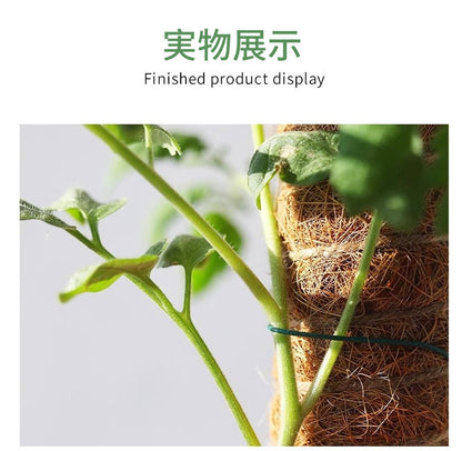 植物支柱 モンステラ 支柱 鉢植え 園芸 園芸支柱 観葉支柱 ココスティック植物 つる性植物 蔓 農具 高さ調整可能 植物サポート ポトス 花ささえ 連結 延長 木製 ガーデニング フラワースタンド 頑丈 耐久 ガーデニング用支柱